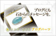 ブログパーツ