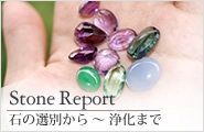 Hariqua Stone Report
