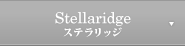 �X�e�����b�W