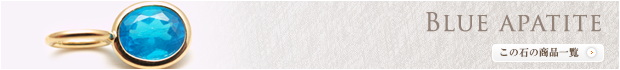 �u���[�A�p�^�C�g