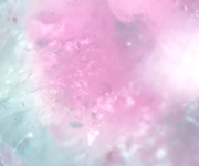 Multi tourmaline �}���`�g���}����