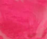 Rhodonite ���[�h�i�C�g