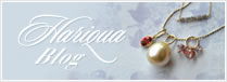 HARIQUA BLOG
