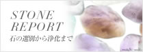 STONE REPORT �΂̑I�ʂ���򉻂܂�