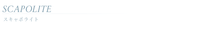 �X�L���|���C�g