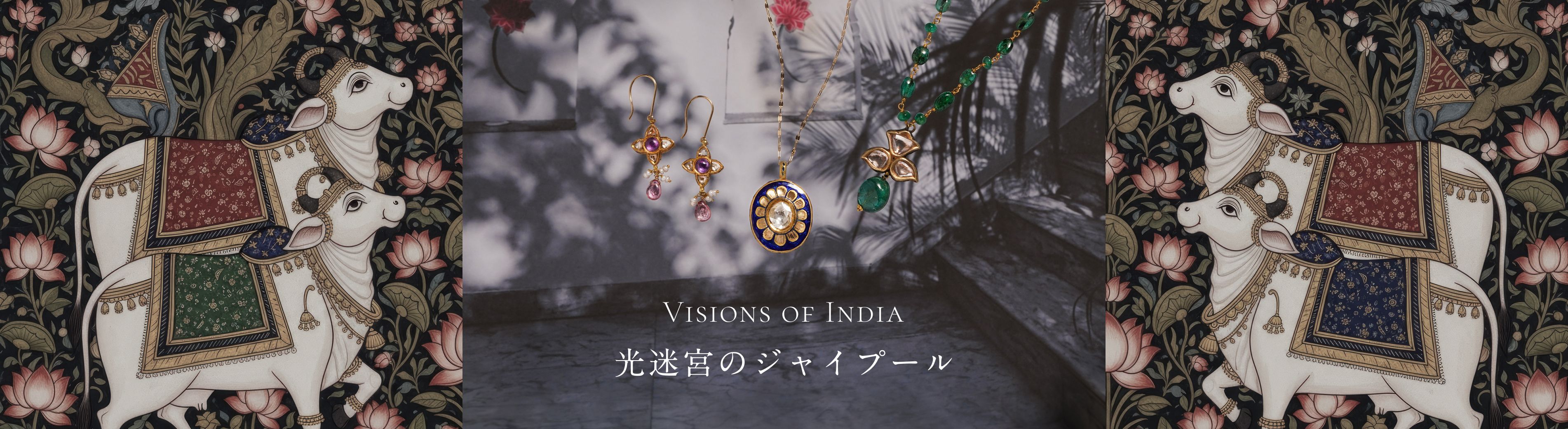 Visions of India 光迷宮のジャイプール