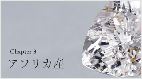 Chapter 3 アフリカ産