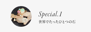 Special.1 世界でたったひとつの石