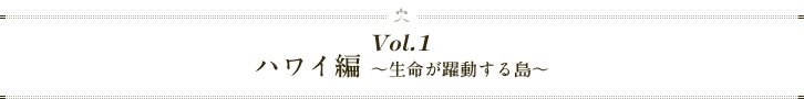 vol1、ハワイ編