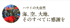 海、空、大地、そのすべてに感謝を