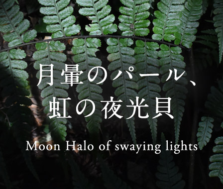 ����̃p�[���A���̖���L