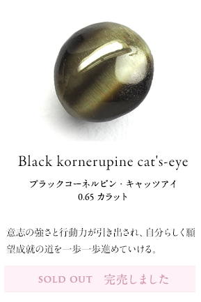 Black kornerupine cat's-eye 0.65 /ブラックコーネルピン・キャッツアイ